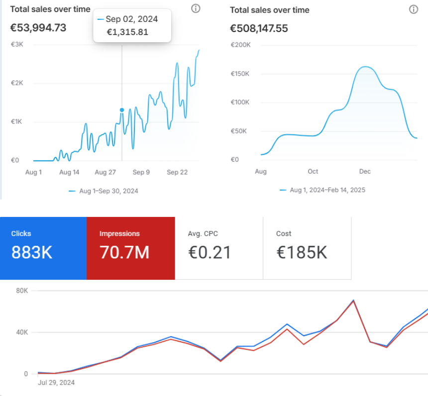 Google Ads results dashboard – From launch to $500K in 5 months – A fashion empire in the making